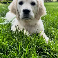 processed/826fb664-7aea-4854-9a54-15c86b855f6a/facility/ace73e34-fad9-495f-a625-fcaf5c3a49f3