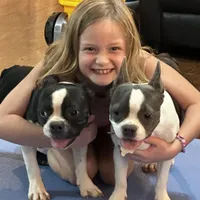 processed/826fb664-7aea-4854-9a54-15c86b855f6a/facility/e6cf4679-04cd-4152-b43e-423013aad45e