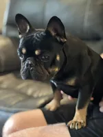 processed/826fb664-7aea-4854-9a54-15c86b855f6a/listing/f3752499-c515-4550-be89-423acfc79c0f/7fed3139-2cfb-43d3-823e-50a613eca943