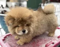 processed/8270866c-5adc-4820-bac3-c20e2deee31e/listing/04ba8487-2a0a-46a8-8797-92d7ee378c20/d3dea4fd-2201-4e96-b927-b69e3881236b