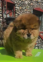 processed/8270866c-5adc-4820-bac3-c20e2deee31e/listing/228c9324-b2f2-4e2e-8512-9b614bd71f7c/1929d684-25ac-4d39-8253-5e5405b1c68d