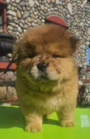 processed/8270866c-5adc-4820-bac3-c20e2deee31e/listing/228c9324-b2f2-4e2e-8512-9b614bd71f7c/9ada9181-82e6-4b52-aee3-65e5216c9c6f