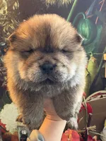 processed/8270866c-5adc-4820-bac3-c20e2deee31e/listing/5ce5d4ba-dfc6-434d-91aa-e0148cca5180/14d03f99-bed1-46f9-961f-57f9f2224a76