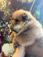 processed/8270866c-5adc-4820-bac3-c20e2deee31e/listing/5ce5d4ba-dfc6-434d-91aa-e0148cca5180/54958355-638e-43d4-93a6-e152f97bdbb0