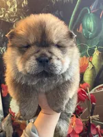 processed/8270866c-5adc-4820-bac3-c20e2deee31e/listing/5ce5d4ba-dfc6-434d-91aa-e0148cca5180/824c453a-69d9-4e23-84ba-0ee3ddc94e92