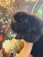 processed/8270866c-5adc-4820-bac3-c20e2deee31e/listing/869dc67c-61f4-4cef-8dfb-4dcc6dc692e7/41d5b3b9-f9fe-4f7a-9fb3-5248bb177a77