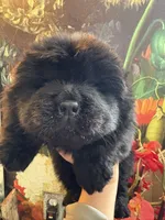 processed/8270866c-5adc-4820-bac3-c20e2deee31e/listing/869dc67c-61f4-4cef-8dfb-4dcc6dc692e7/9bf544b7-09df-4a8b-87f3-440306431226