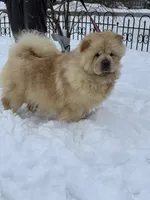 processed/8270866c-5adc-4820-bac3-c20e2deee31e/listing/97671e3f-0c24-4c27-8ce9-4ef7dc5828b1/34979612-9e5f-4cd7-89d8-d6f11ef23d0c