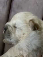 processed/8270866c-5adc-4820-bac3-c20e2deee31e/listing/97671e3f-0c24-4c27-8ce9-4ef7dc5828b1/3fae0389-064d-438e-b29a-cbc1facc69cf