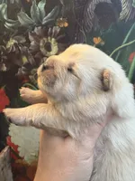 processed/8270866c-5adc-4820-bac3-c20e2deee31e/listing/97671e3f-0c24-4c27-8ce9-4ef7dc5828b1/8c224649-9c68-438e-9497-04947d57179c