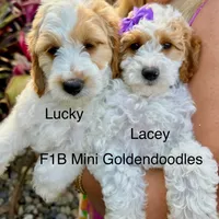 processed/827444c5-4704-43d8-a6b2-fc9b1d92d00c/facility/3fd35909-1857-494b-841f-9f6558b78c6f