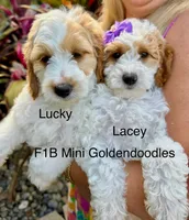 processed/827444c5-4704-43d8-a6b2-fc9b1d92d00c/facility/3fd35909-1857-494b-841f-9f6558b78c6f