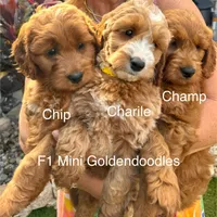 processed/827444c5-4704-43d8-a6b2-fc9b1d92d00c/facility/77918e4a-d169-408c-92b3-17899d325b10