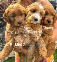 processed/827444c5-4704-43d8-a6b2-fc9b1d92d00c/facility/77918e4a-d169-408c-92b3-17899d325b10