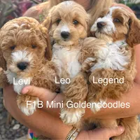 processed/827444c5-4704-43d8-a6b2-fc9b1d92d00c/facility/99da3d80-e3e4-48a8-a39b-783f0d82aa6d