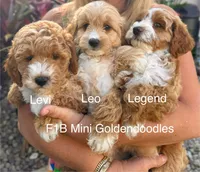 processed/827444c5-4704-43d8-a6b2-fc9b1d92d00c/facility/99da3d80-e3e4-48a8-a39b-783f0d82aa6d