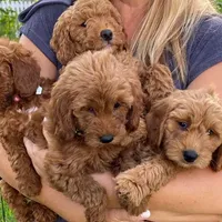 processed/827444c5-4704-43d8-a6b2-fc9b1d92d00c/facility/e2360fd9-a829-4968-afc0-8f9516fe8994