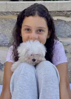 Mischief teacup 5 lbs, a male Maltese for sale in Gap, PA – 3 of 3