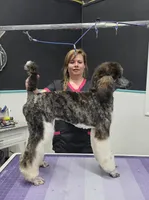 processed/8275388d-96ff-4f8f-9cdf-c5a9cd16bd01/listing/0cf2cdbf-cd66-40c4-9ce8-4eaa8cb00853/569aeb42-0ae7-405e-b6e9-08871af47113