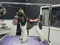 processed/8275388d-96ff-4f8f-9cdf-c5a9cd16bd01/listing/0cf2cdbf-cd66-40c4-9ce8-4eaa8cb00853/c5276005-8152-4bcc-9805-665da29219df