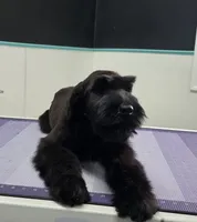 processed/8275388d-96ff-4f8f-9cdf-c5a9cd16bd01/listing/e7c73b69-ed48-406f-adcc-8aaefc0834e3/0558611b-78b7-46a1-b585-cdbe9a34c60c