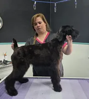 processed/8275388d-96ff-4f8f-9cdf-c5a9cd16bd01/listing/e7c73b69-ed48-406f-adcc-8aaefc0834e3/26972d77-830c-4e8a-9e37-e1717ec8eeeb