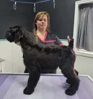 processed/8275388d-96ff-4f8f-9cdf-c5a9cd16bd01/listing/e7c73b69-ed48-406f-adcc-8aaefc0834e3/8c3cefea-27ad-428e-9c73-5ccf564d6f6c