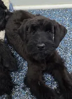 processed/8275388d-96ff-4f8f-9cdf-c5a9cd16bd01/listing/e7c73b69-ed48-406f-adcc-8aaefc0834e3/9a61d500-19a2-4154-9ba5-18e72750d49f