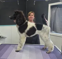 processed/8275388d-96ff-4f8f-9cdf-c5a9cd16bd01/listing/fbc58831-21eb-4b5f-87ce-9e63023e862e/01c51220-a180-412a-a5a5-56b2ea26a6e7