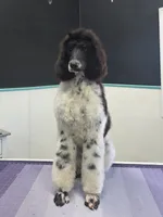 processed/8275388d-96ff-4f8f-9cdf-c5a9cd16bd01/listing/fbc58831-21eb-4b5f-87ce-9e63023e862e/2267c2f7-6aeb-4fad-92f7-ede76e4bbe87