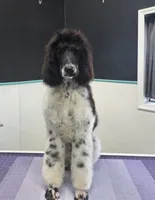 processed/8275388d-96ff-4f8f-9cdf-c5a9cd16bd01/listing/fbc58831-21eb-4b5f-87ce-9e63023e862e/3a235592-36f9-4dd1-987f-93ee71f6bc96