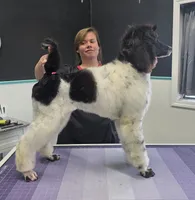 processed/8275388d-96ff-4f8f-9cdf-c5a9cd16bd01/listing/fbc58831-21eb-4b5f-87ce-9e63023e862e/87dd539f-f6e1-49eb-9ffb-087d4205898a