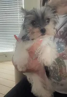 processed/8287c442-2e03-445a-ae83-f5785825c6c6/facility/a9d8788d-5499-44b1-b1d7-fa22aa3b06e8