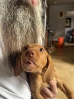 processed/828fd8fb-73a0-4d64-bc44-a9fb8722c740/listing/4a0b2b18-013b-415b-8814-00c6f141a19a/03791142-6158-4359-ae6b-39af9c5ad1da