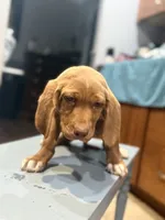 processed/828fd8fb-73a0-4d64-bc44-a9fb8722c740/listing/4a0b2b18-013b-415b-8814-00c6f141a19a/326a350e-76af-4b50-bff3-c2581847ee9a