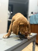 processed/828fd8fb-73a0-4d64-bc44-a9fb8722c740/listing/4a0b2b18-013b-415b-8814-00c6f141a19a/3a82f693-ede8-4539-a5e7-007a71470a24