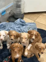 processed/828fd8fb-73a0-4d64-bc44-a9fb8722c740/listing/4a0b2b18-013b-415b-8814-00c6f141a19a/3c604577-86cd-4a09-a76f-296e1d387066