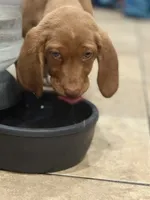 processed/828fd8fb-73a0-4d64-bc44-a9fb8722c740/listing/4a0b2b18-013b-415b-8814-00c6f141a19a/67a85947-bd57-4c56-863c-64559860f1d4