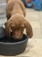 processed/828fd8fb-73a0-4d64-bc44-a9fb8722c740/listing/4a0b2b18-013b-415b-8814-00c6f141a19a/c8f663d6-faee-4565-804d-926db5fbcc32