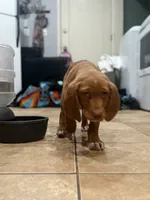 processed/828fd8fb-73a0-4d64-bc44-a9fb8722c740/listing/4a0b2b18-013b-415b-8814-00c6f141a19a/cf8c605a-eda1-48c6-9cf8-ff4d21d495a3