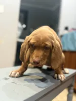 processed/828fd8fb-73a0-4d64-bc44-a9fb8722c740/listing/4a0b2b18-013b-415b-8814-00c6f141a19a/eeb37318-7c26-4ddd-bde9-a4b79d885114