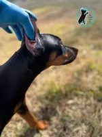 processed/82a732c7-6acc-4eeb-95ec-f8156edf9246/listing/4cc4dccc-7830-4e48-95a8-71dcc910af9f/01d83f3a-0abb-4d46-8e28-7e107480a6ba