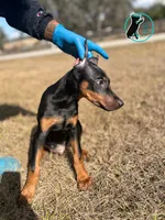 processed/82a732c7-6acc-4eeb-95ec-f8156edf9246/listing/4cc4dccc-7830-4e48-95a8-71dcc910af9f/15f20069-f82d-4cd0-8c00-f289d3fb4866