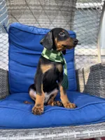 processed/82a732c7-6acc-4eeb-95ec-f8156edf9246/listing/4cc4dccc-7830-4e48-95a8-71dcc910af9f/17bc1988-311e-4124-992e-bd83f993174f