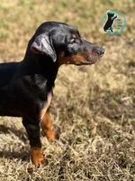 processed/82a732c7-6acc-4eeb-95ec-f8156edf9246/listing/4cc4dccc-7830-4e48-95a8-71dcc910af9f/1b6f49cc-d85c-426e-8212-d12003c3dce6