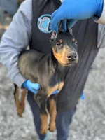 processed/82a732c7-6acc-4eeb-95ec-f8156edf9246/listing/4cc4dccc-7830-4e48-95a8-71dcc910af9f/8a66e1a2-82e2-454d-8955-a7ea04fed645