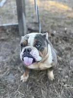 processed/82a732c7-6acc-4eeb-95ec-f8156edf9246/listing/d01e7b7d-6f73-48b9-ae5b-90c8ac1a5532/02e73625-4235-48ee-9218-4544a4e28d12