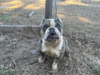 processed/82a732c7-6acc-4eeb-95ec-f8156edf9246/listing/d01e7b7d-6f73-48b9-ae5b-90c8ac1a5532/683dab13-8fa9-4741-a606-23d9a0041fad