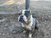 processed/82a732c7-6acc-4eeb-95ec-f8156edf9246/listing/d01e7b7d-6f73-48b9-ae5b-90c8ac1a5532/95aa6824-5e2d-4629-ad76-d0efd3cda7c3