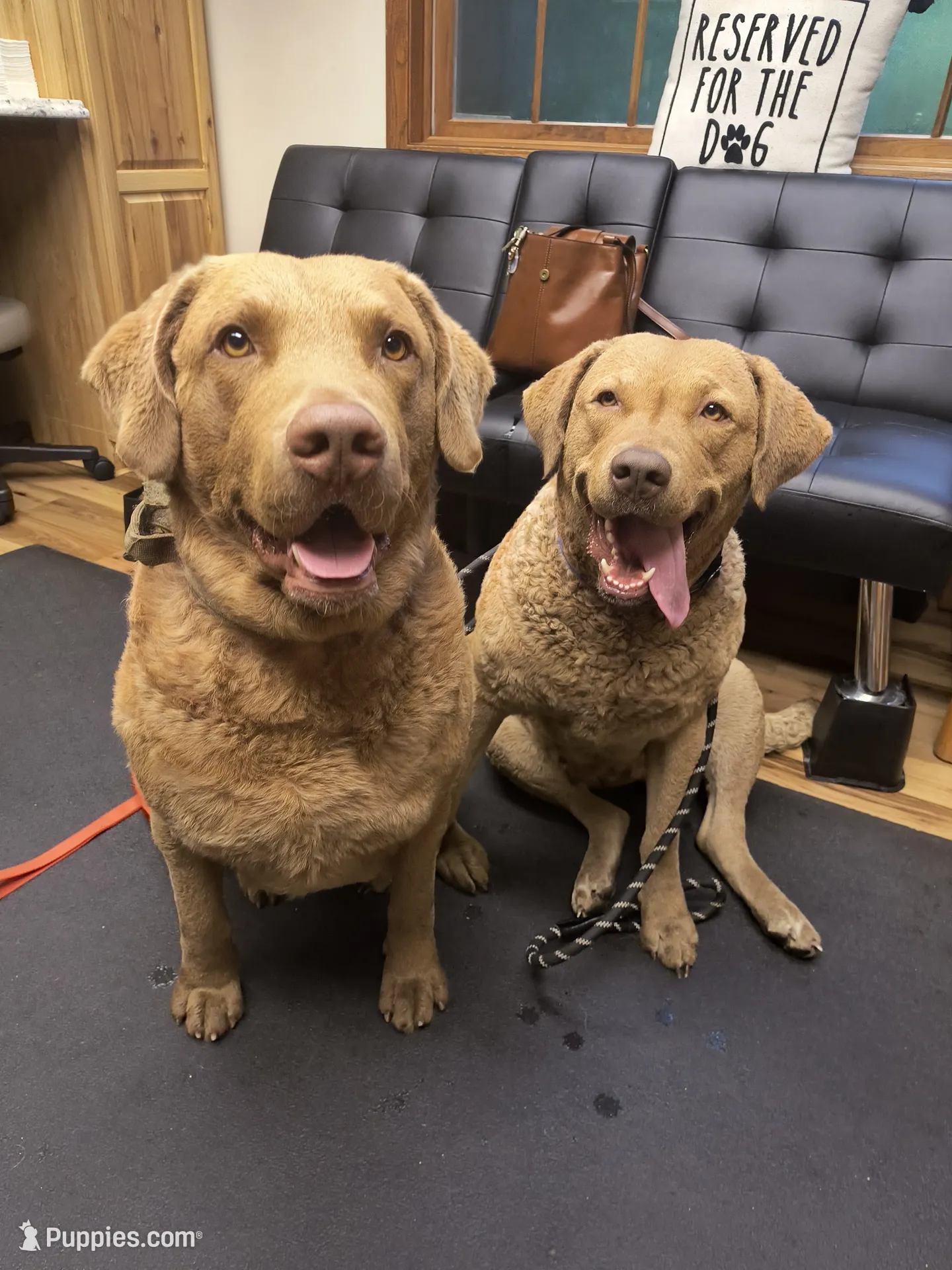 Facility photo